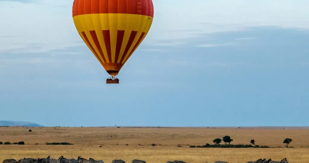 Kenya most loved safari destination